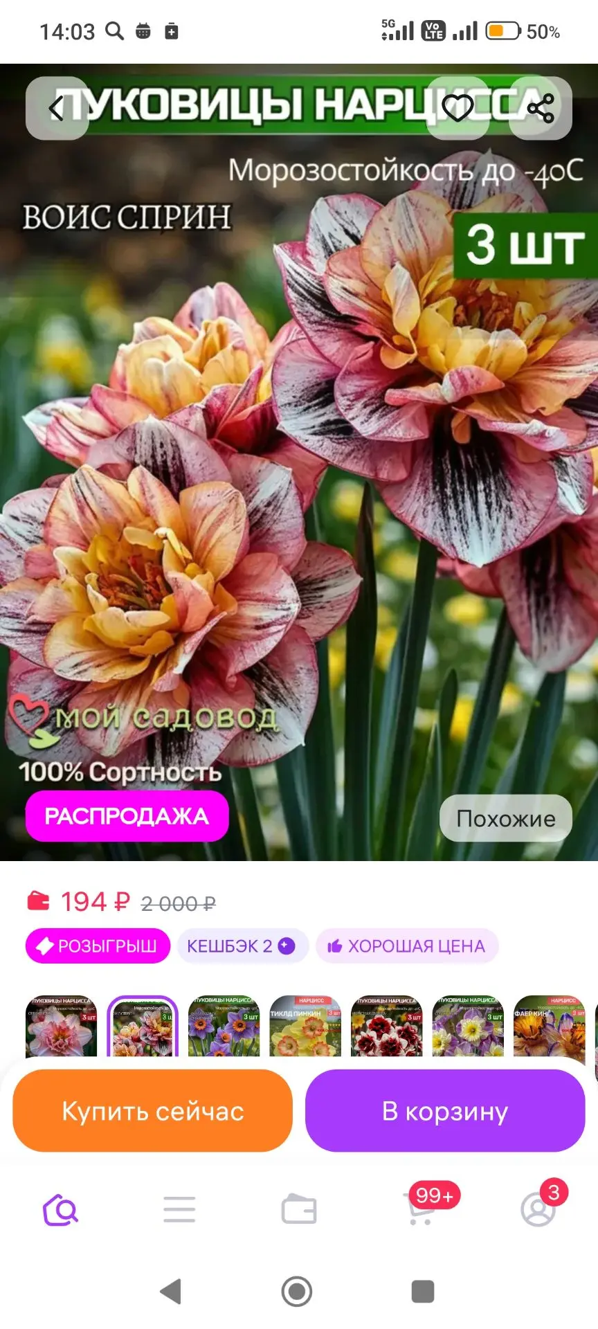 Нарциссы луковицы многолетние цветы Мой Садовод