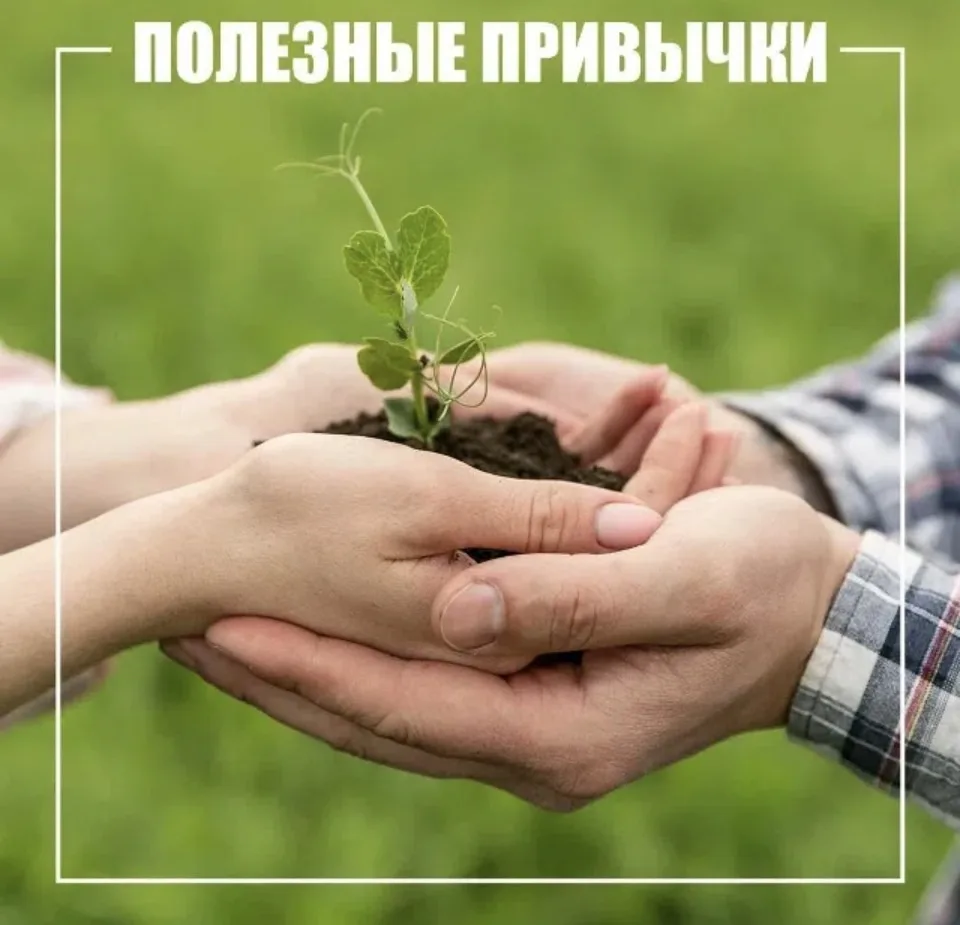 Полезные привычки формируются с детства

Ежедневно напоминайте детям о простых, но важных правилах:
