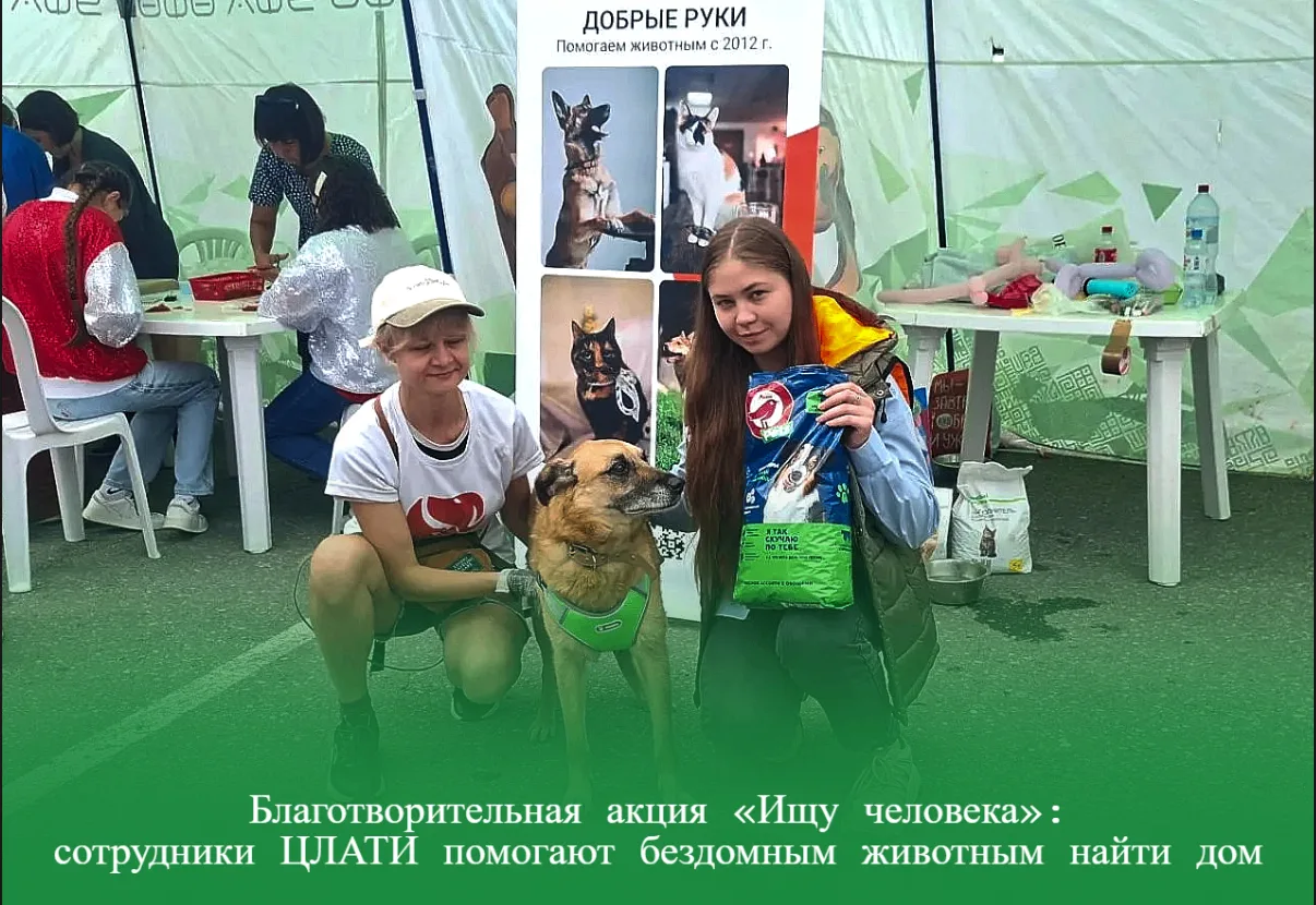 Благотворительная акция «Ищу человека»: сотрудники ЦЛАТИ помогают бездомным животным на...