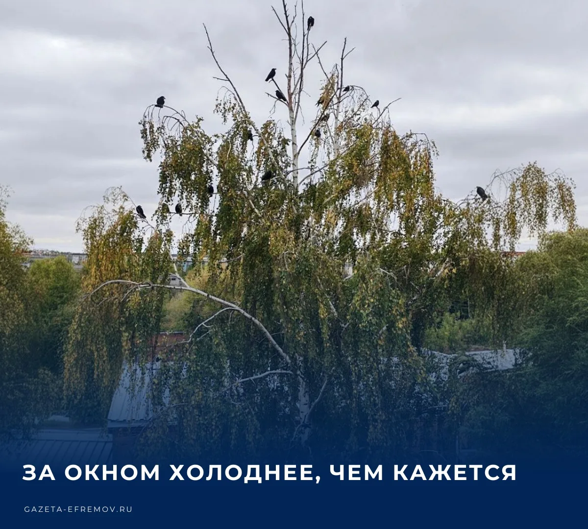 ☁️ Сегодня в Ефремове облачно с прояснениями. Температура воздуха составит +5…+11 °С, о...