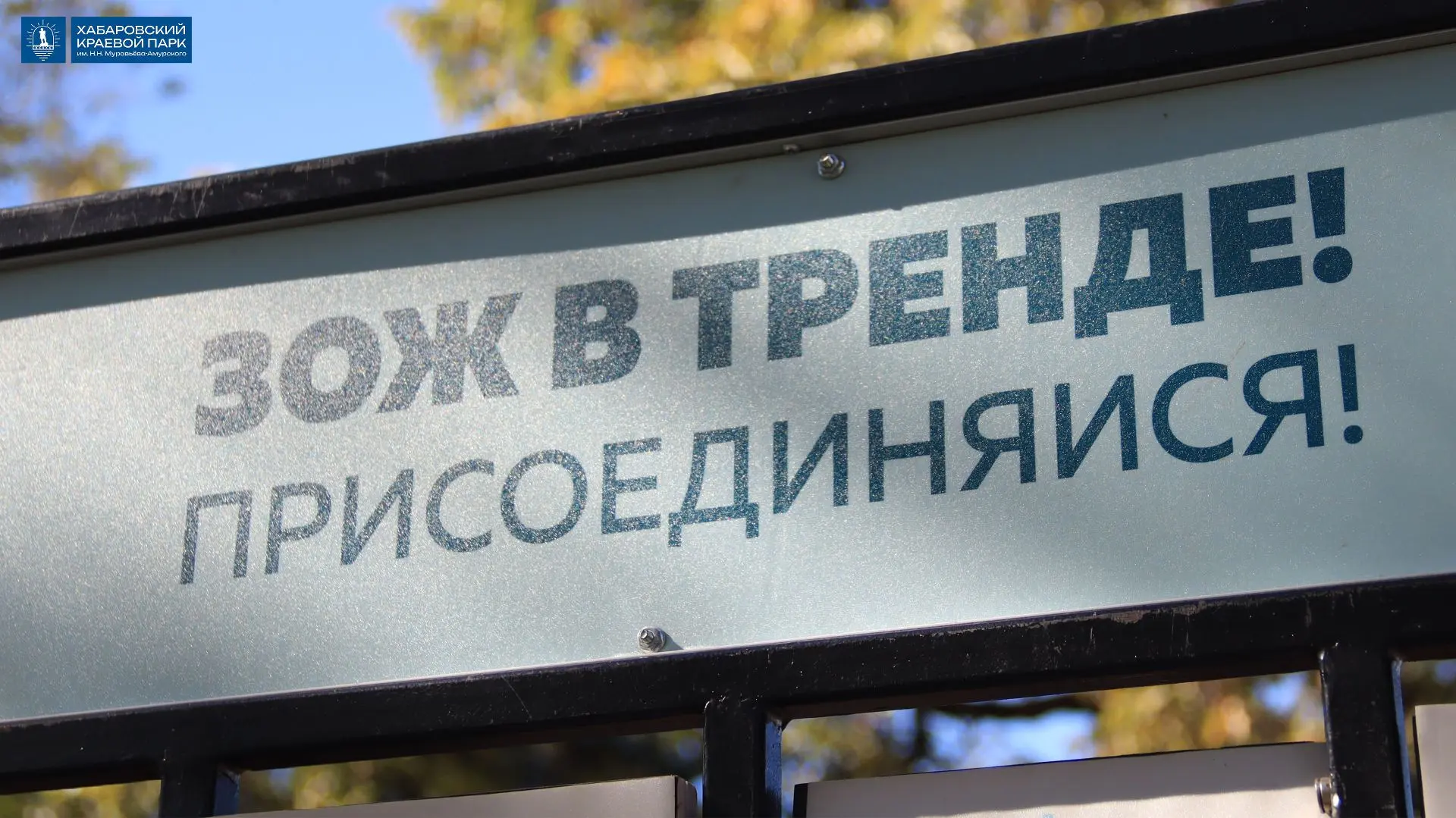 Квест «Беги за сердцем»: разговор с молодёжью на языке движения и игры