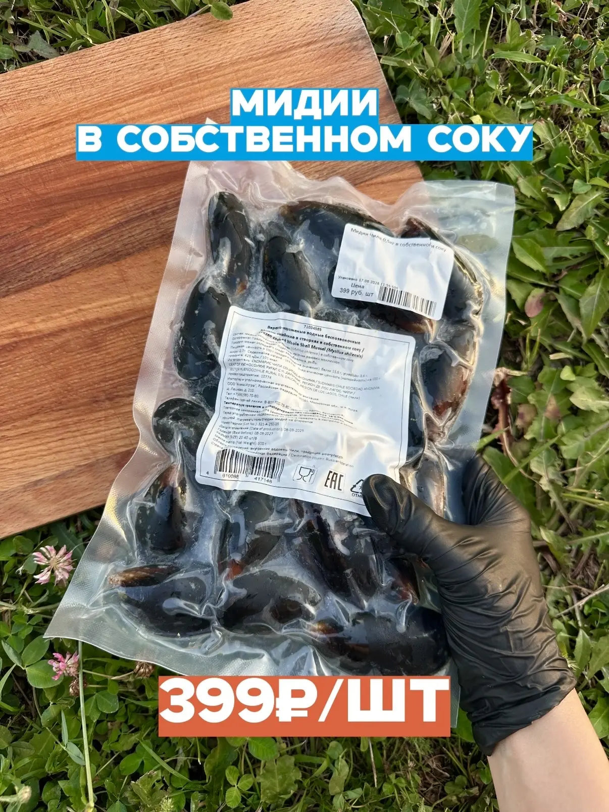 ‼️‼️МИДИИ FISH⚓️HOUSE — БОЛЬШАЯ ПОДБОРКА🦪‼️‼️
