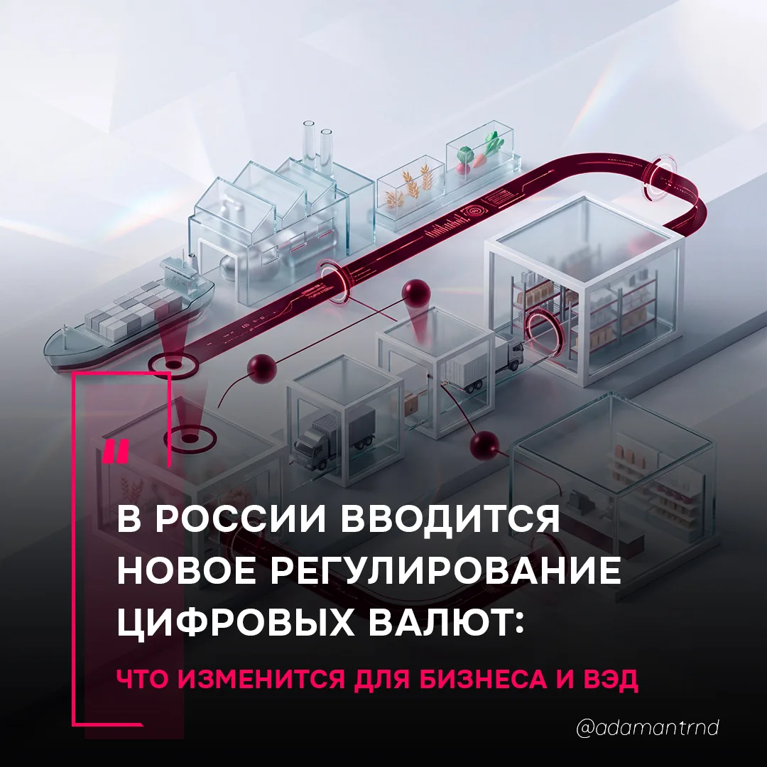 В России вводится новое регулирование цифровых валют: что изменится для бизнеса и ВЭД
