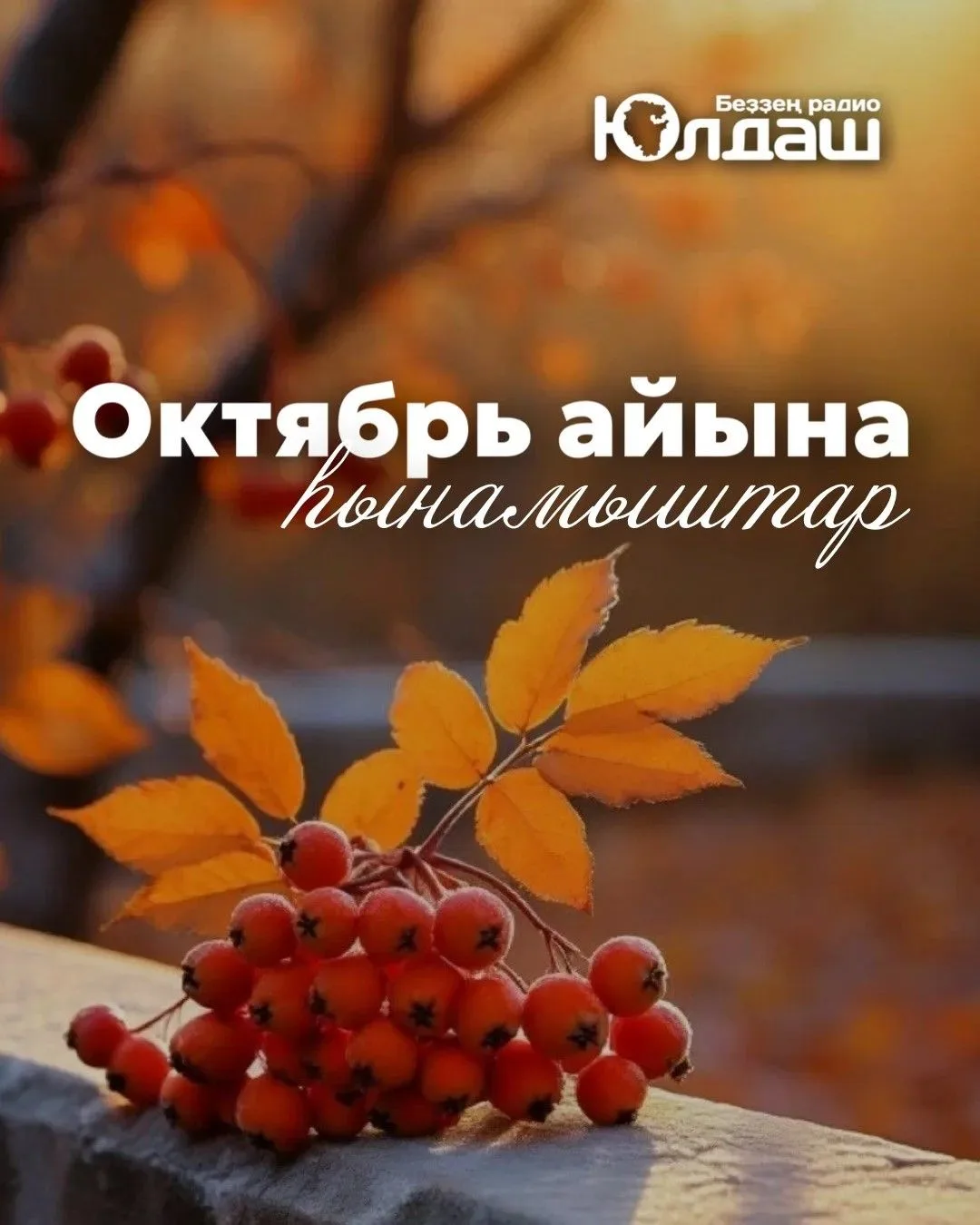 🍁1 октябрҙә ел көн буйына төньяҡтан булһа, ҡыш һалҡын килер, көньяҡтан булһа, йылы бул...