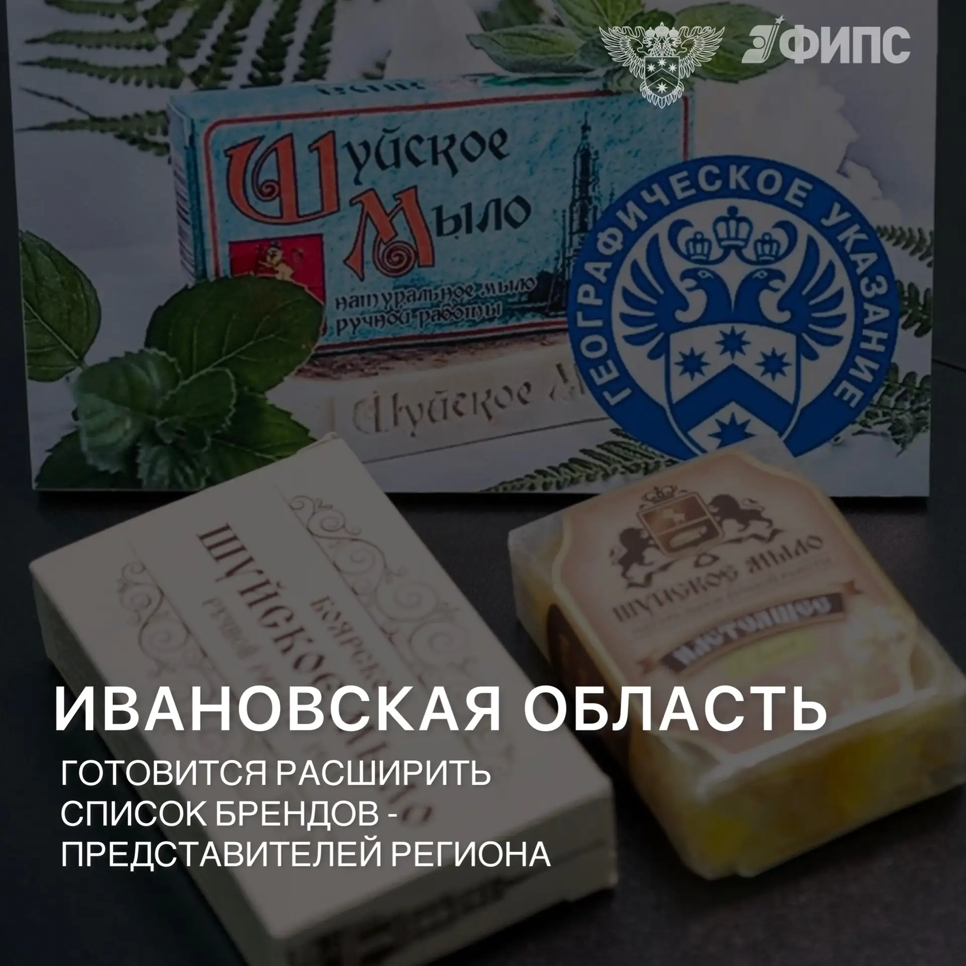 🧶Команда ФИПС в текстильной столице России