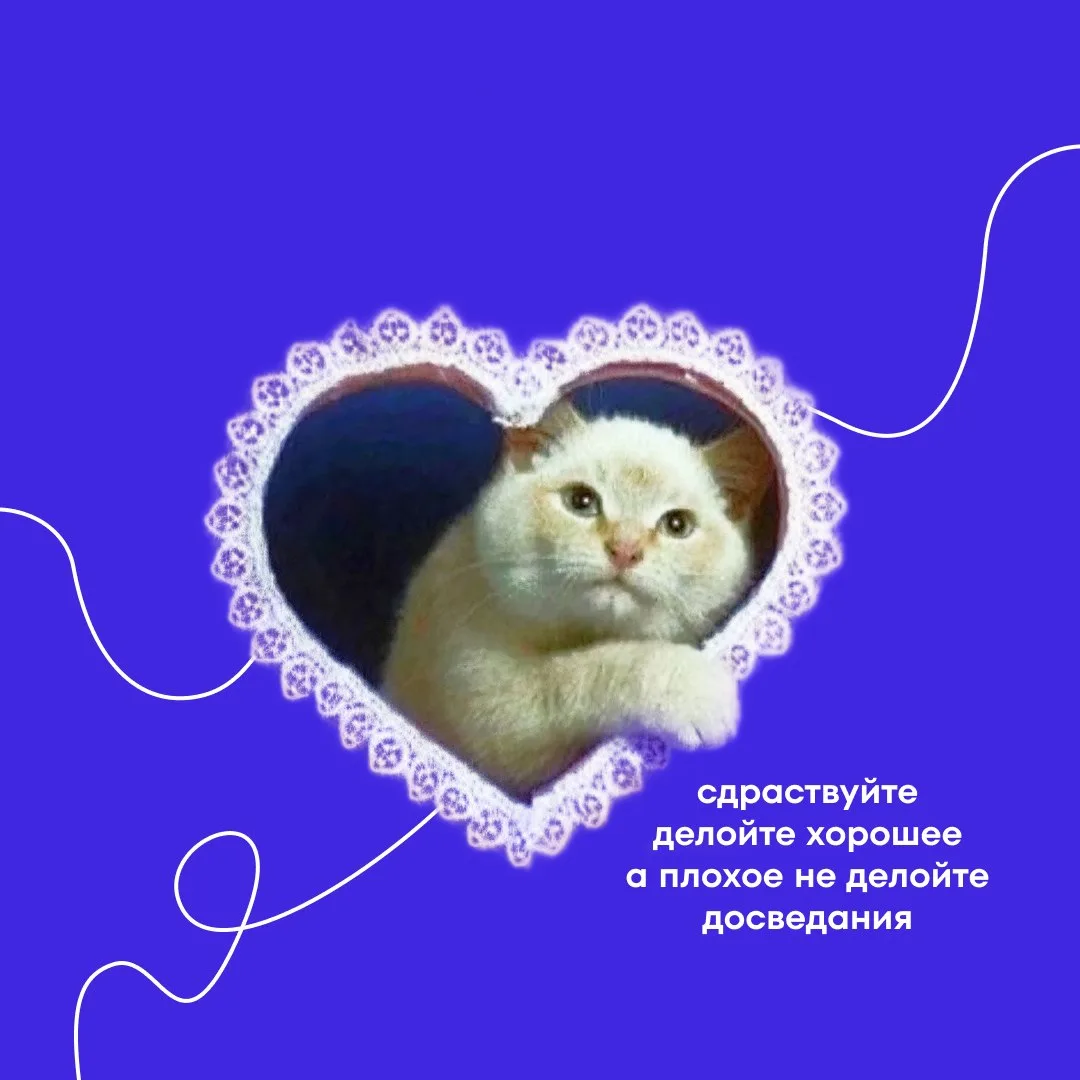 Пятничное: когда пришел за фидбеком к коллеге из соседнего отдела