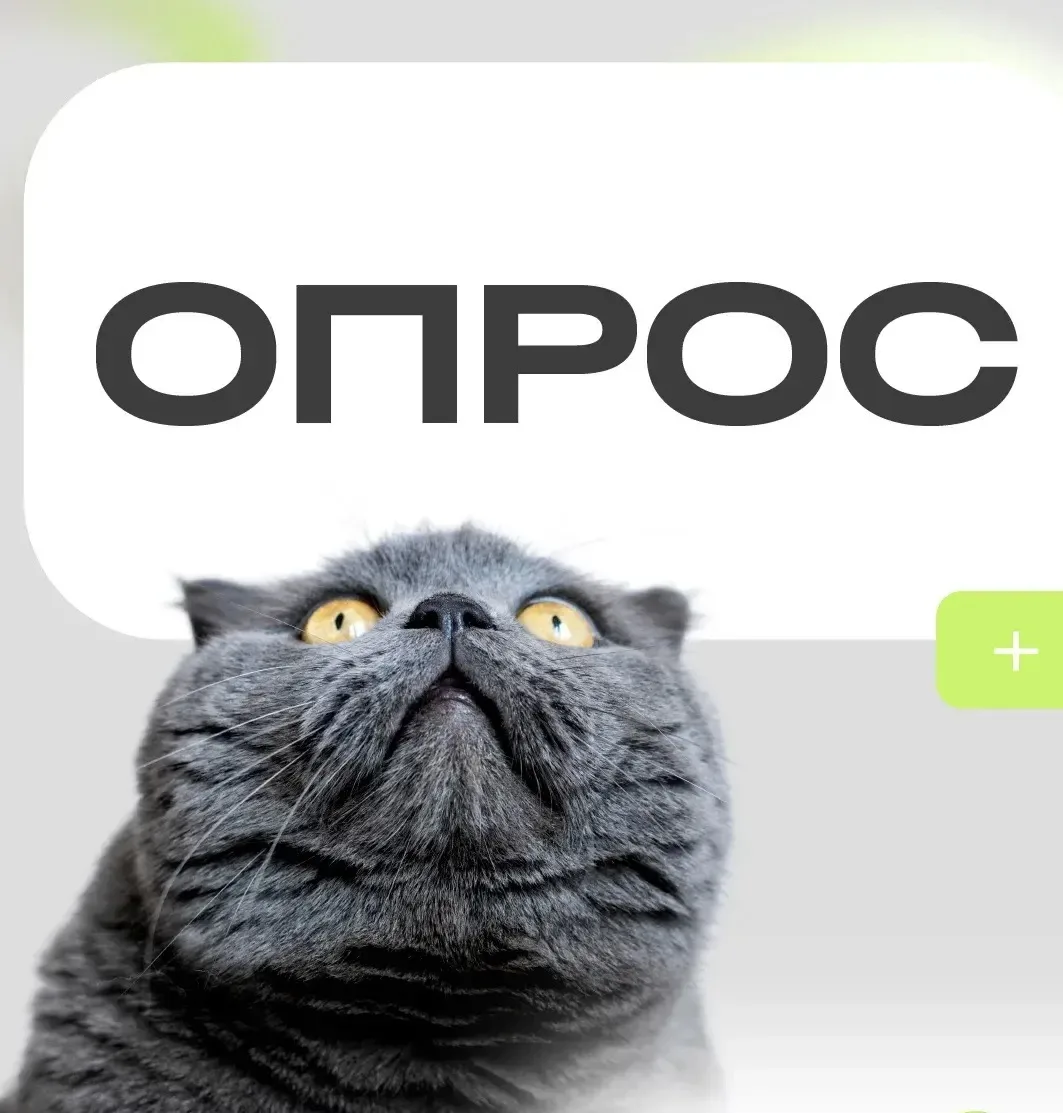 Где больше всего морских обитателей?

❤️ - В Чёрном море
🔥 - В Средиземном море
👍🏻- В Жёлтом море