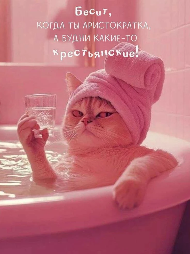 ОТКРЫТКИ
