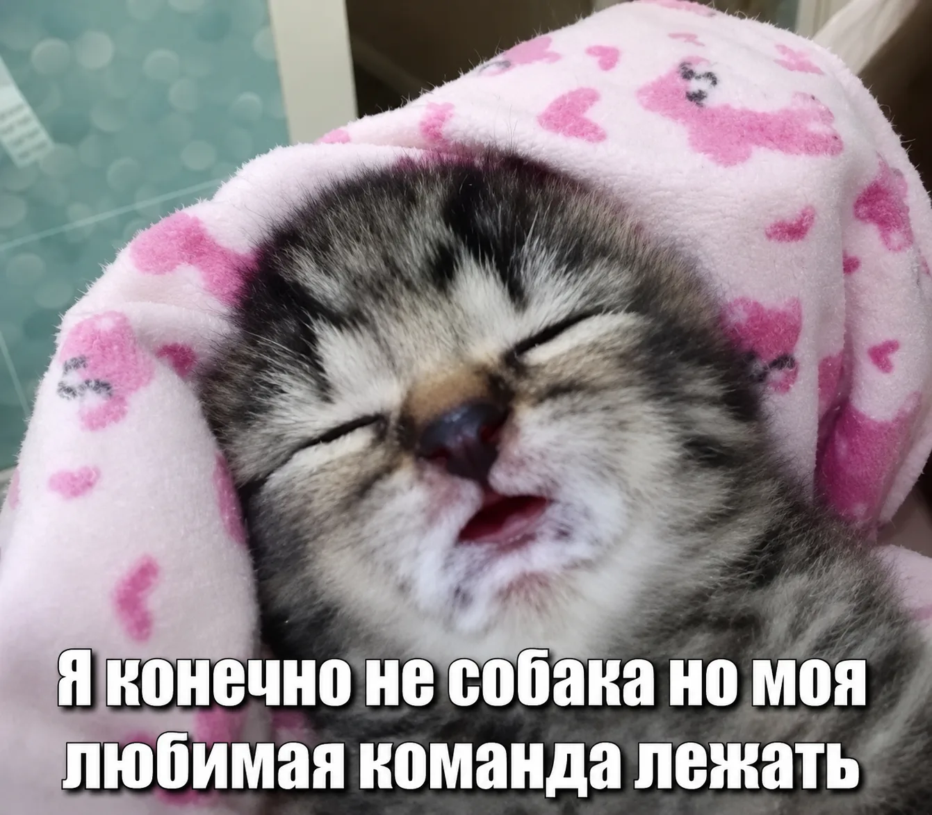 Коллеги, команда «выходные» активирована!☺️