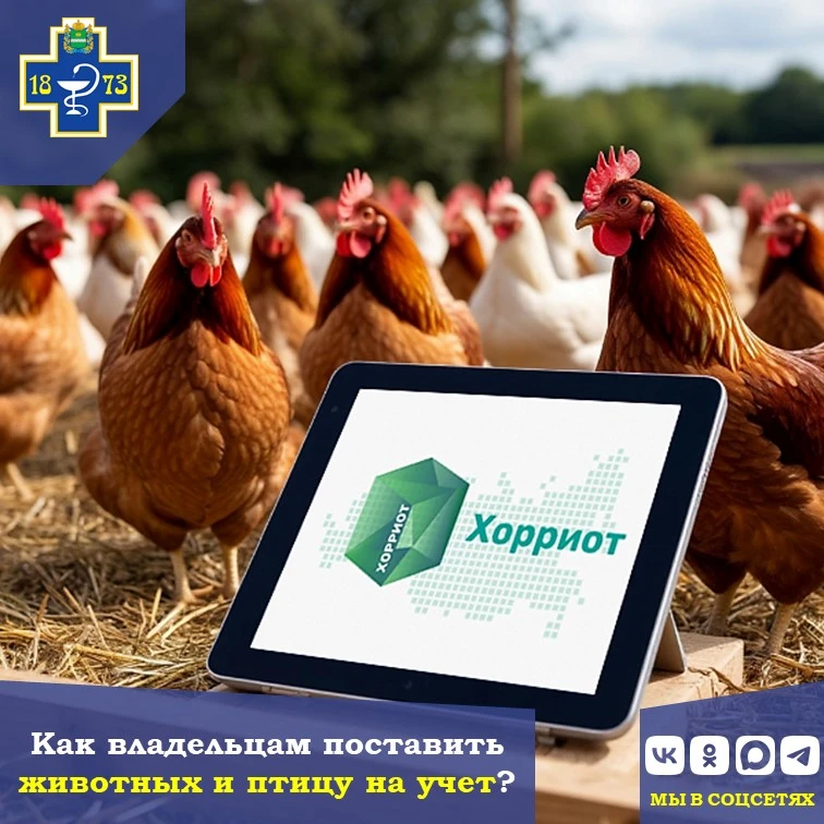🐓 Как владельцам поставить животных и птицу на учет?