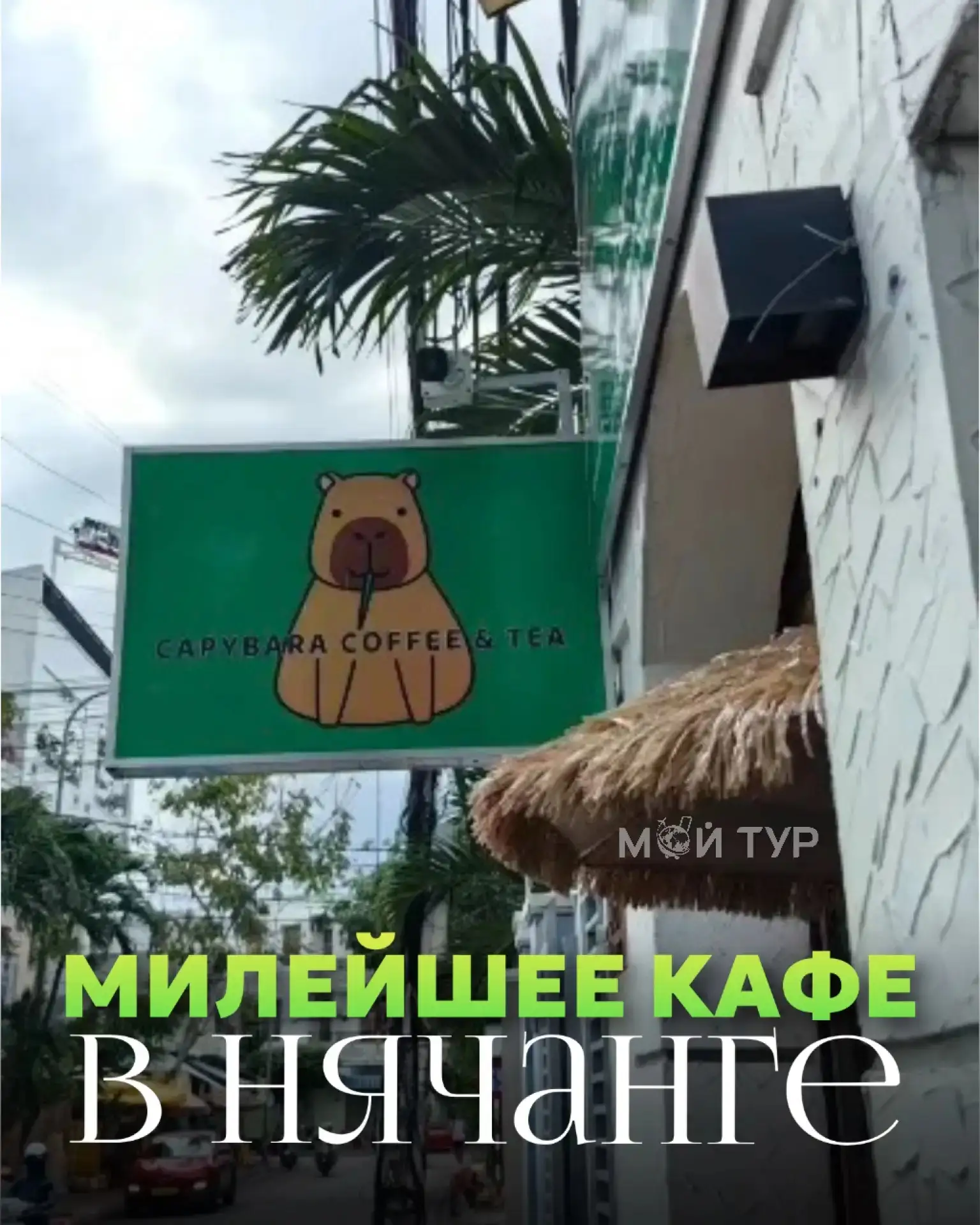 😍 Отдых в Нячанге не будет полным без этого места: встречайте капибару за чашечкой кофе!

Есть точк