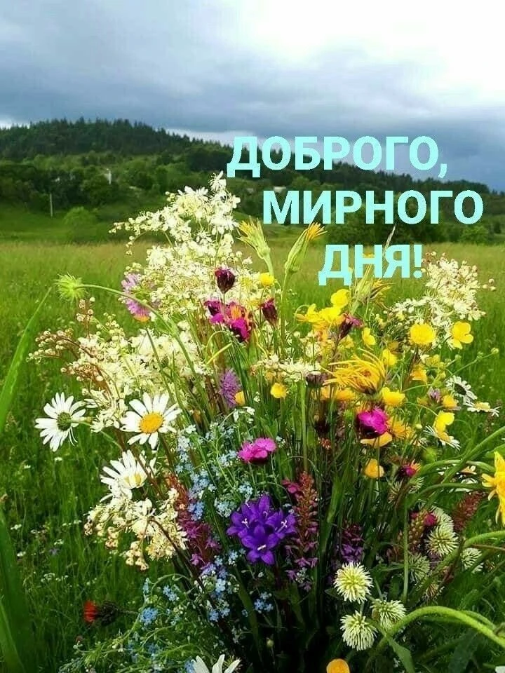 🥰 Оставляйте реакции, если понравилась открытка и делитесь с близкими ❤

Подпишитесь и Вы не сможет