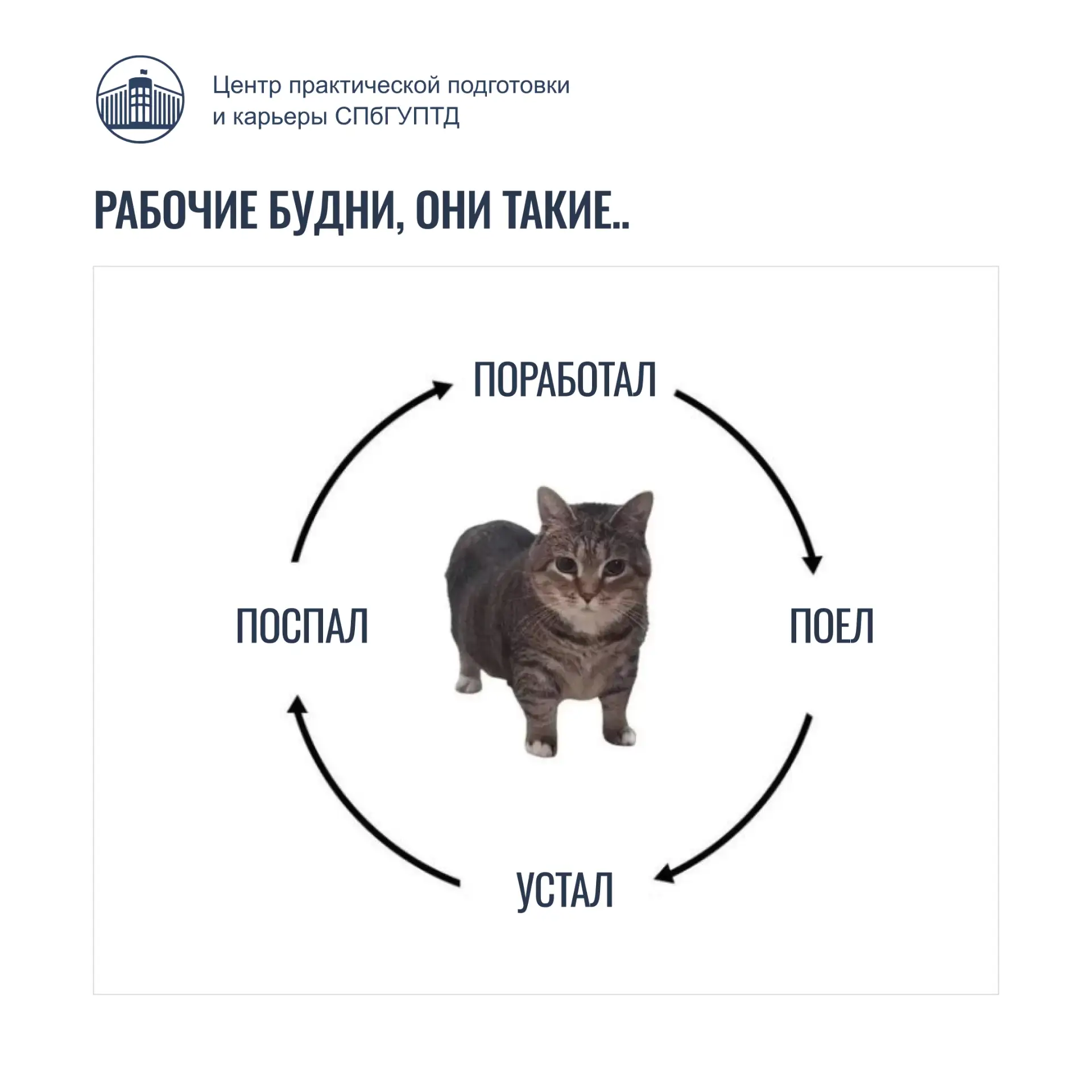 Это вам не у и и а и