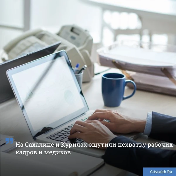 👍 Одна из крупнейших рекрутинговых платформ России привела актуальную статистику относ...