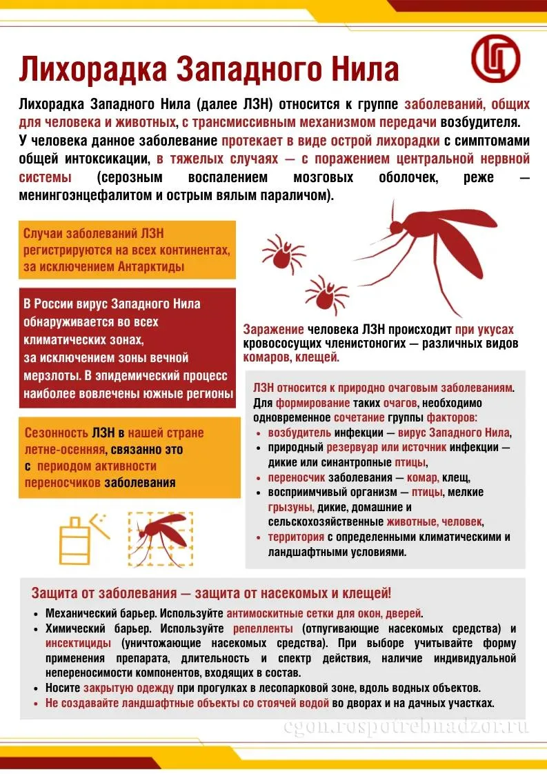 О ситуации и мерах профилактики лихорадки Западного Нила
