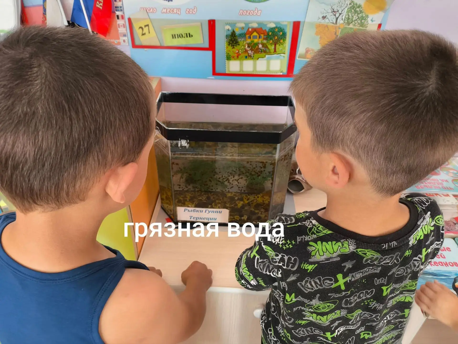 "Чистая вода- здоровые рыбки!"