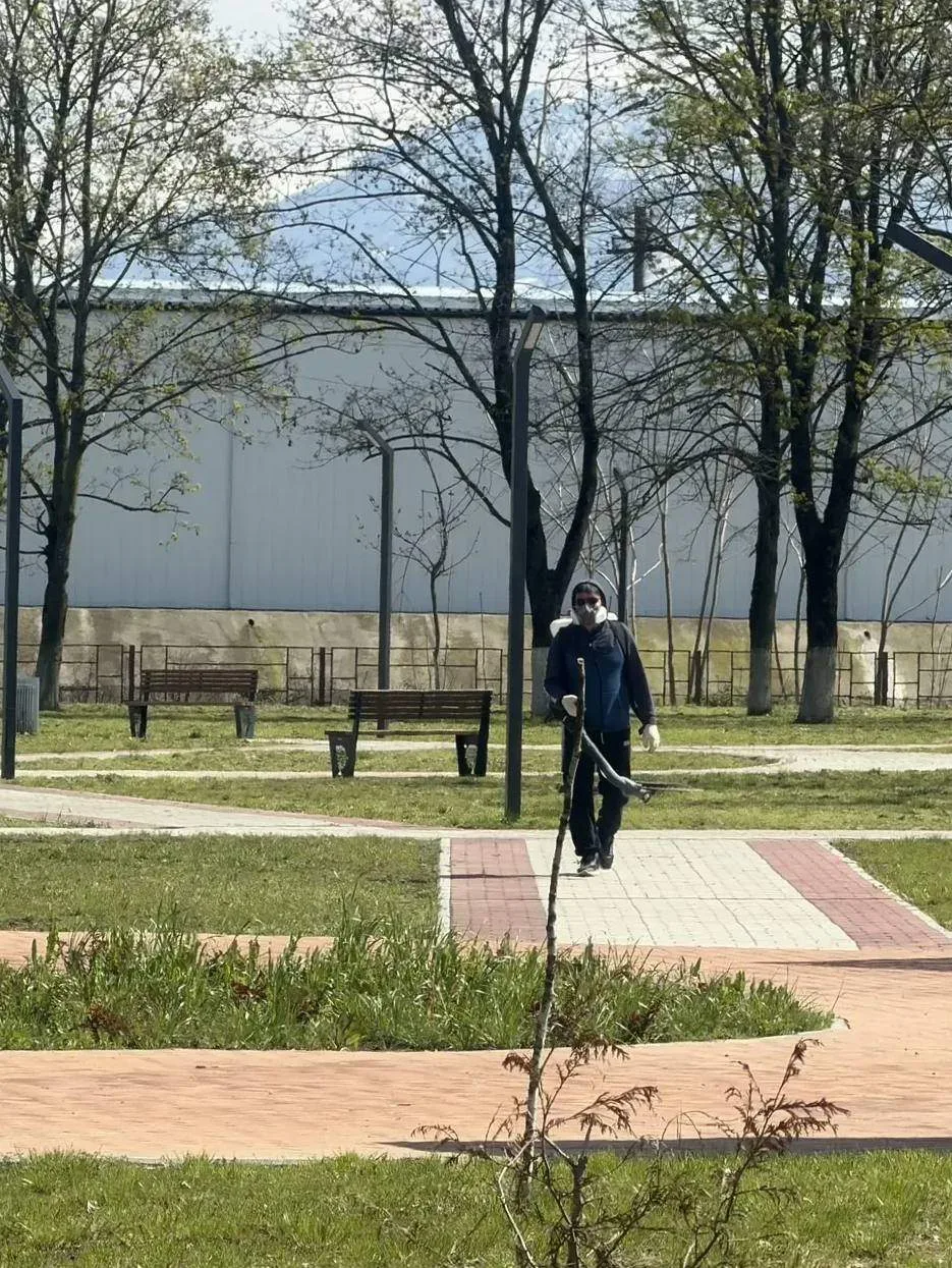 В Ардоне проведена акарицидная обработка общественных территорий В целях профилактики инфекционных з