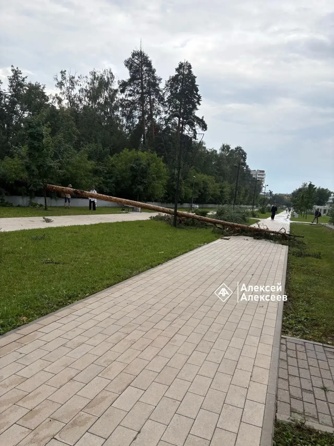 😱Еще кадры последствий   урагана в Дзержинске сегодня.

Фото: Алексей Алексеев