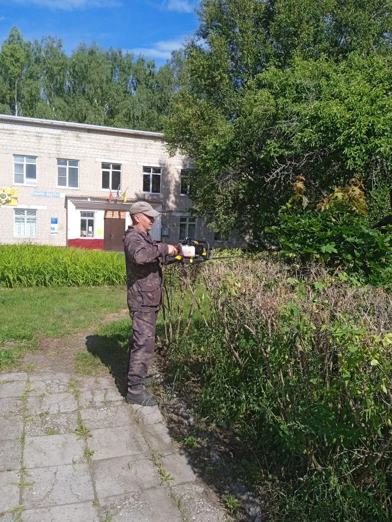 На территории Ягановского сельсовета в рамках благоустройства организованы санитарные д...