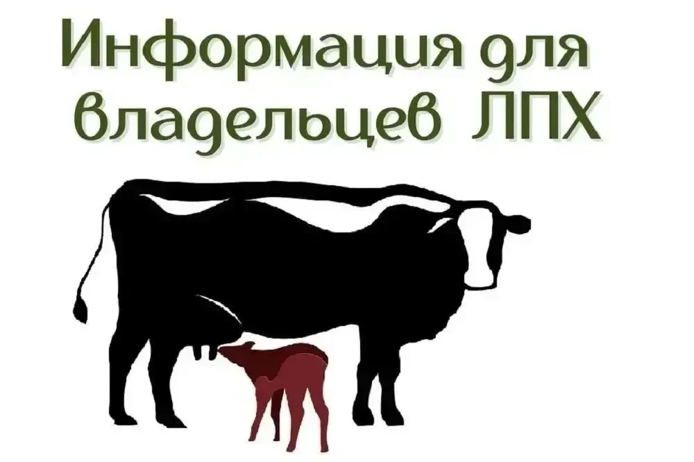 👨‍👩‍👧‍👦Уважаемые гости и жители Невельского района!