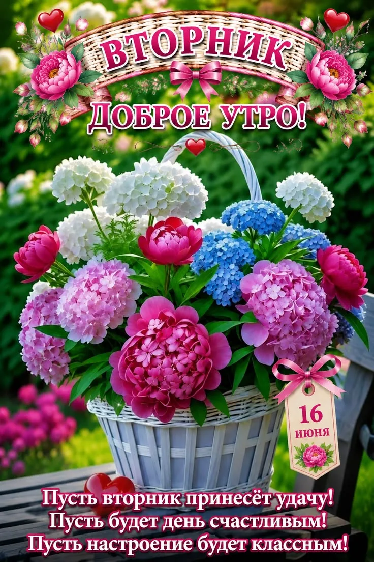 Красивые и добрые