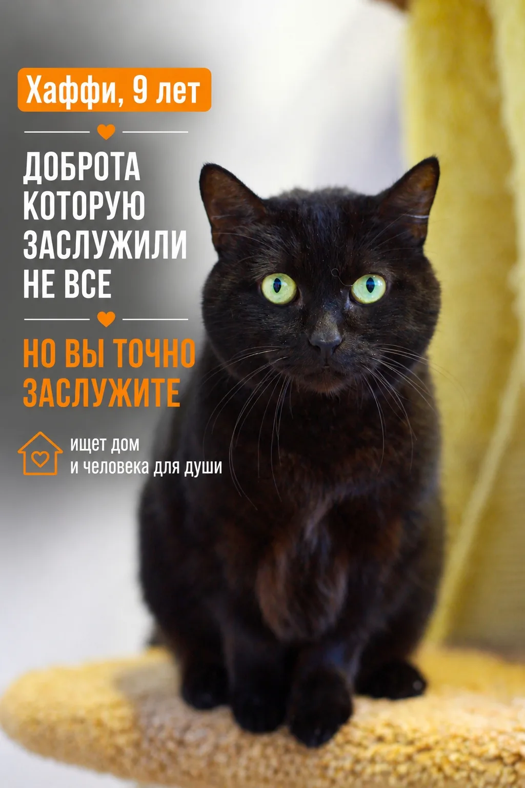 Недавно наша Хаффи раскрылась с неожиданной стороны.