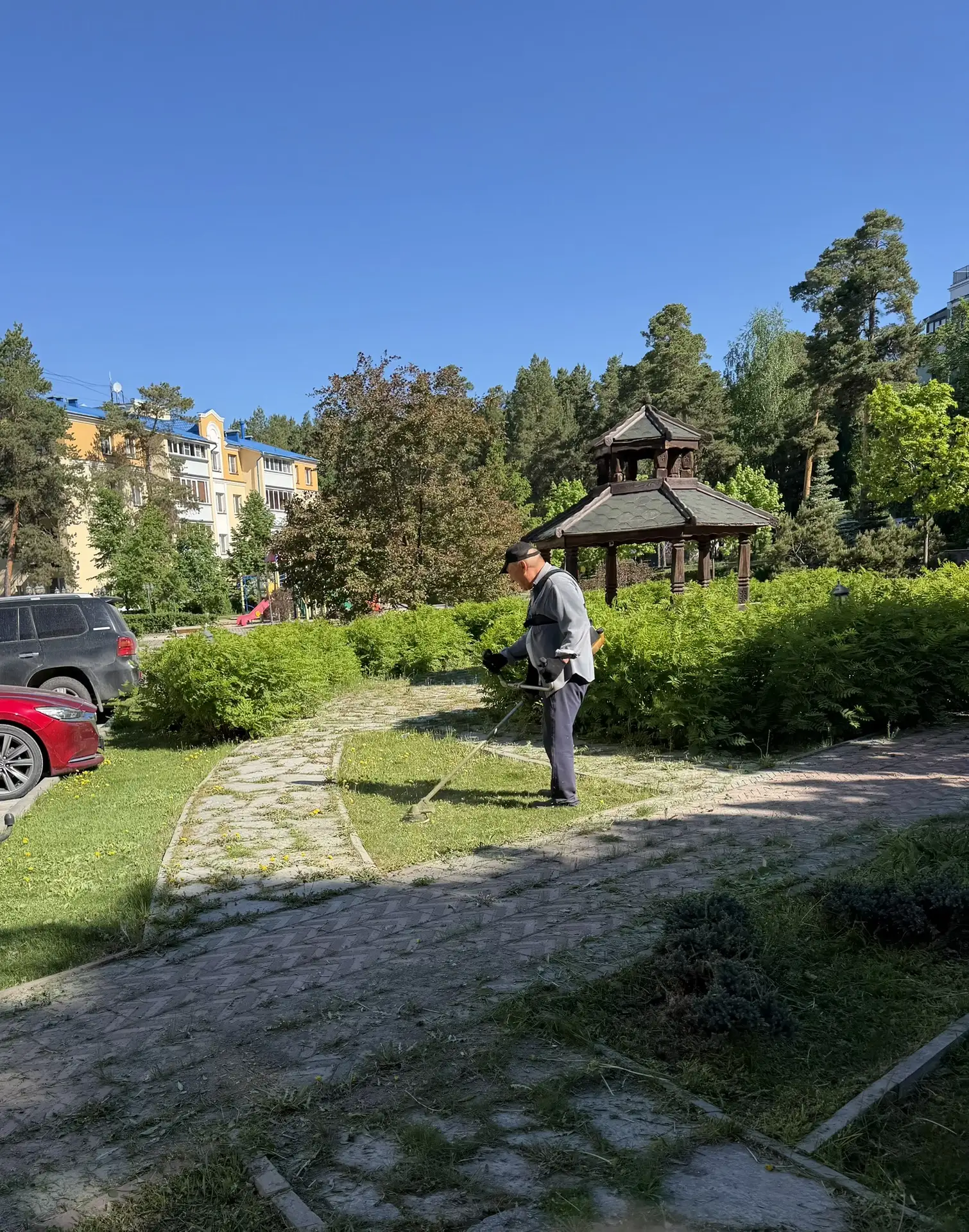 Косим и убираем мусор