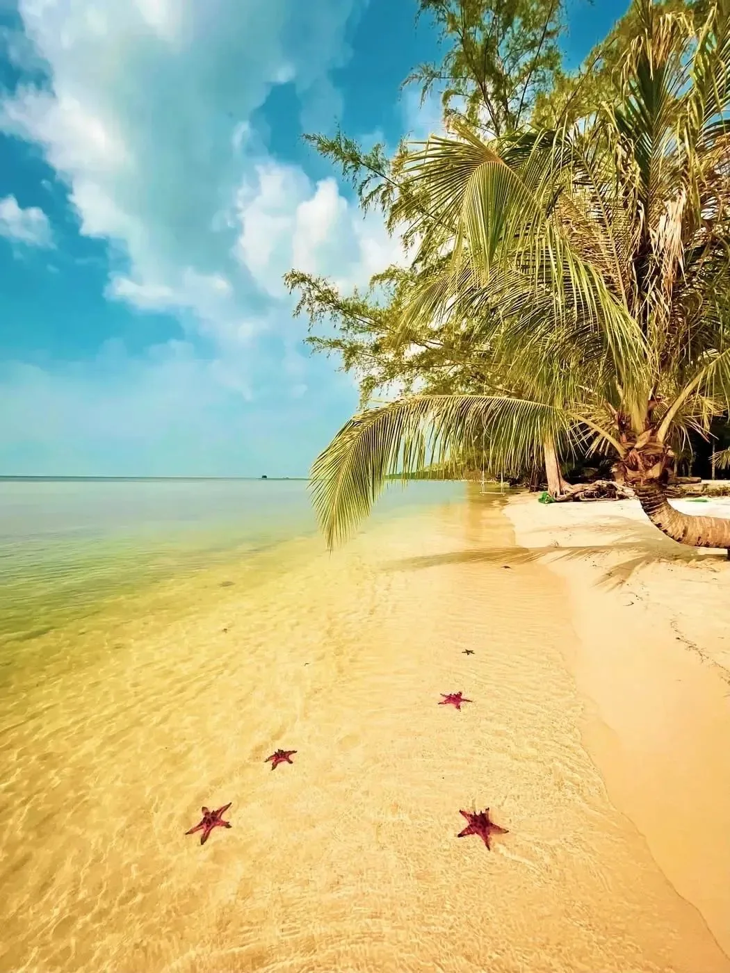 🏝Фукуок — остров для идеального семейного отдыха или романтического путешествия!❤️