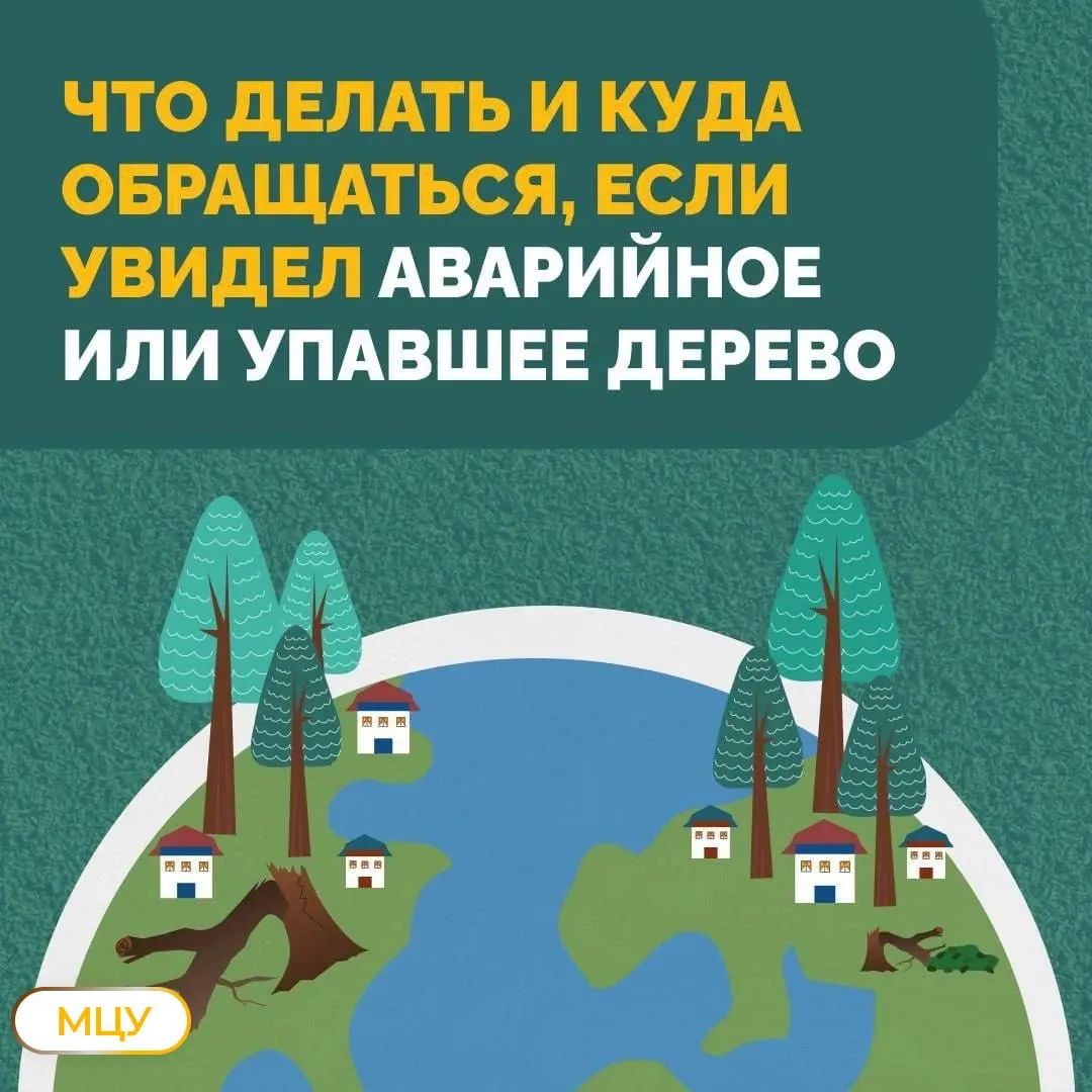 💨   В городе усиливается ветер