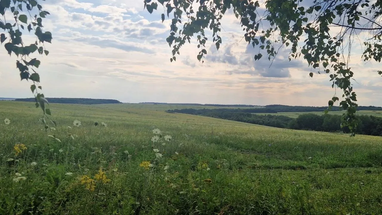 Живописные пейзажи Рязанской области и те самые грибы с глазами! 😉🍄

Спасибо нашим подписчикам за 