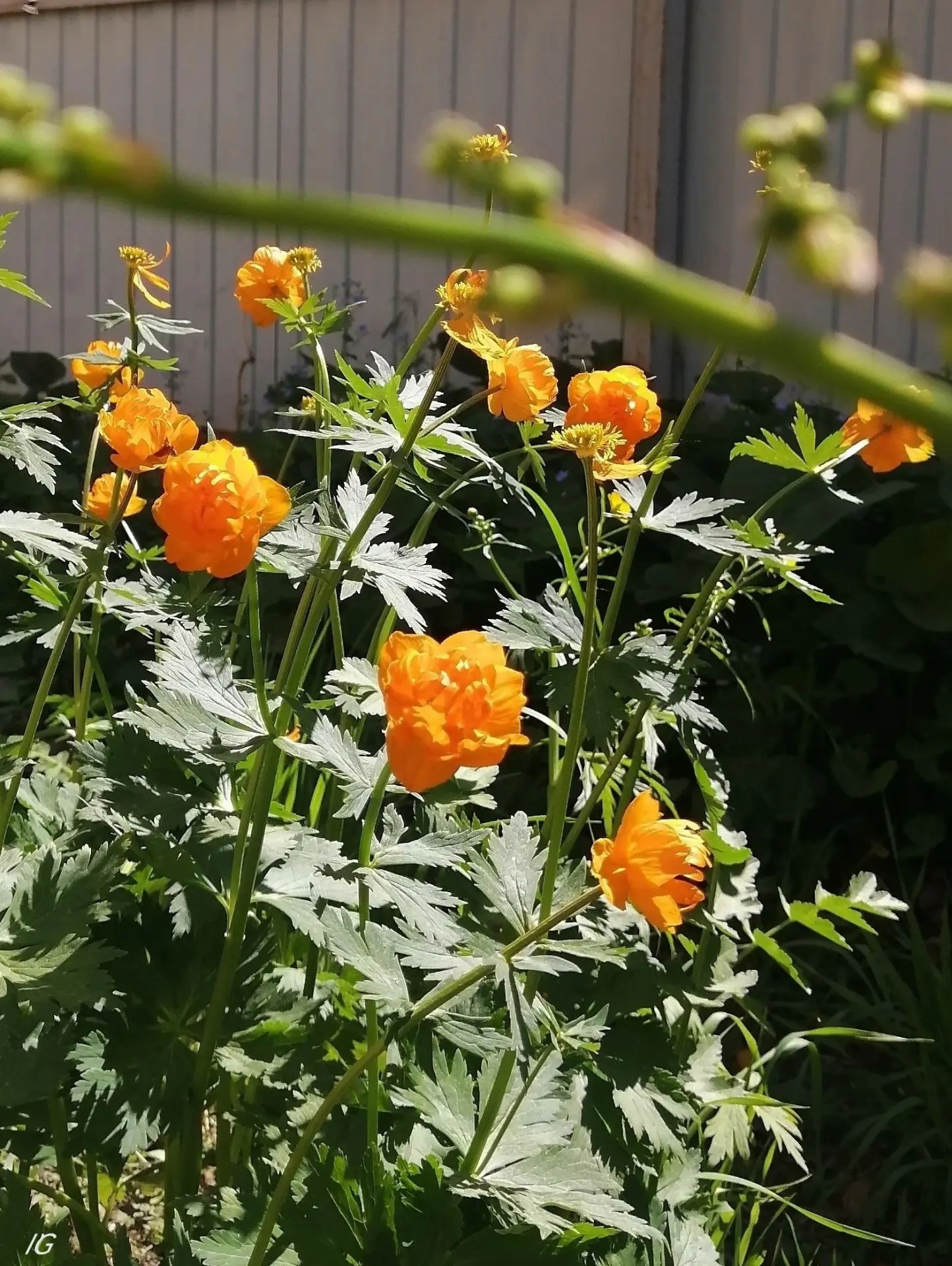 Доброе утро! 💐🌞