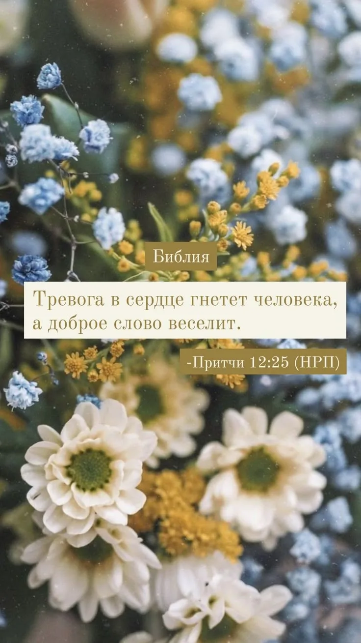 Библия на каждый день