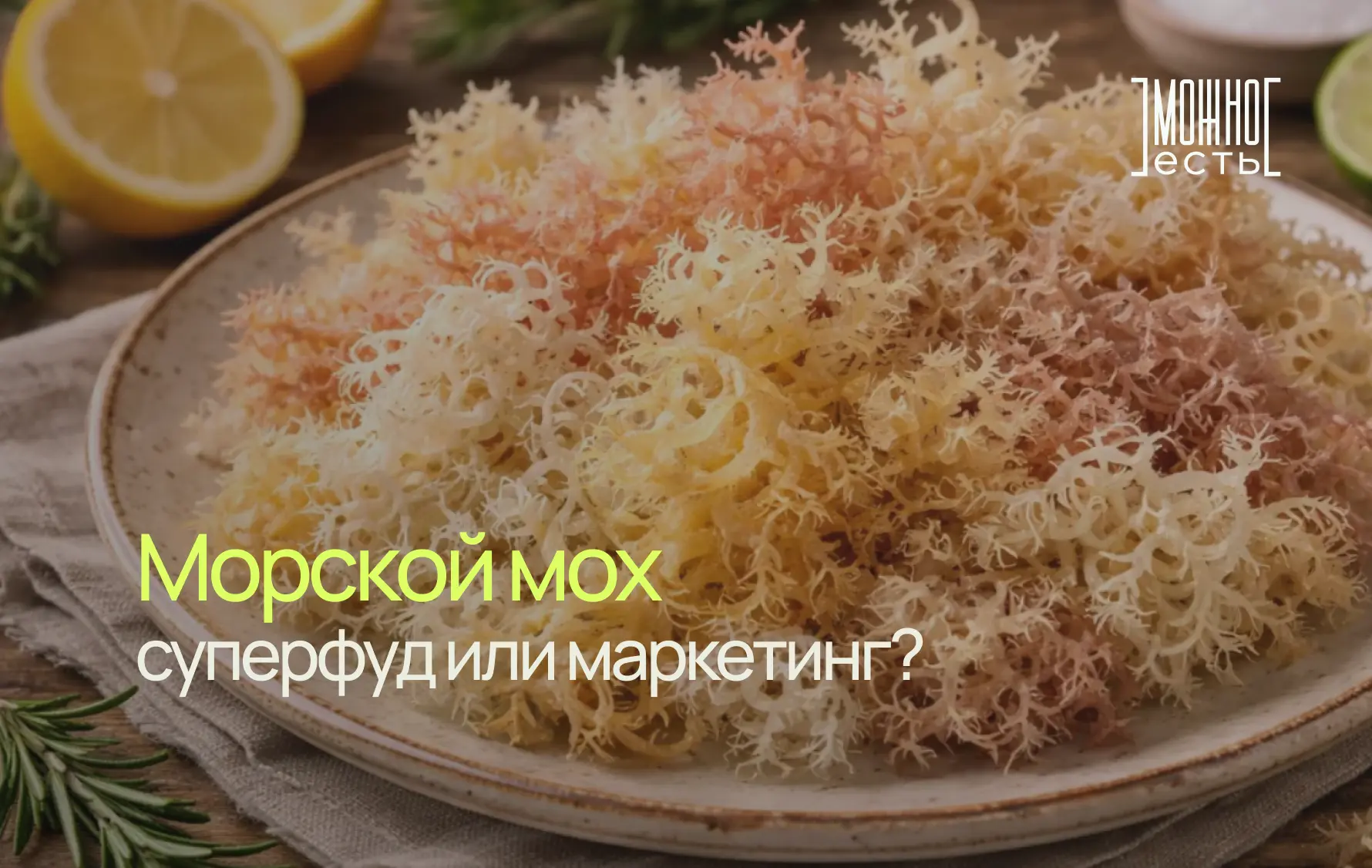 🌊 Морской мох — суперфуд или маркетинг?