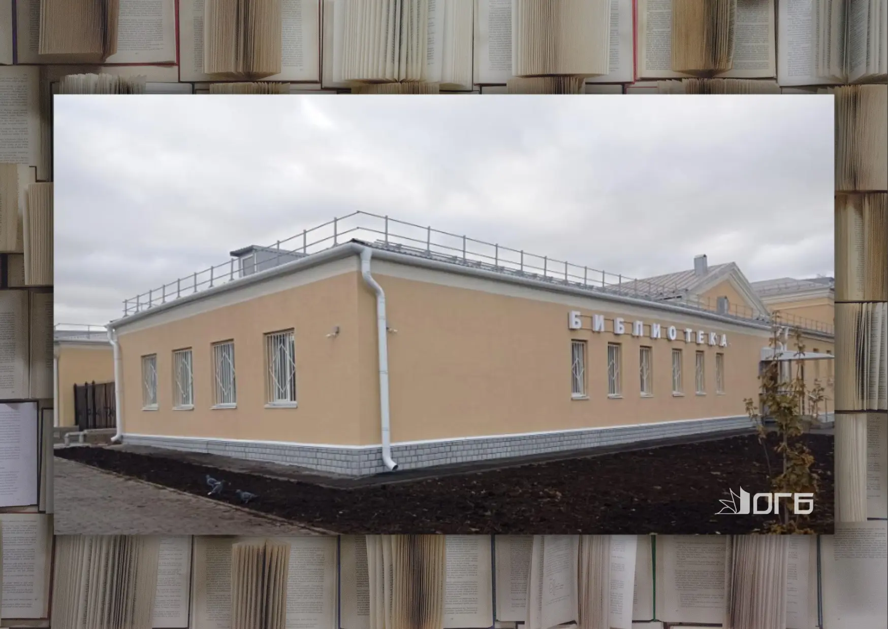 #ОГБ50 #БиблиотекиОГБ