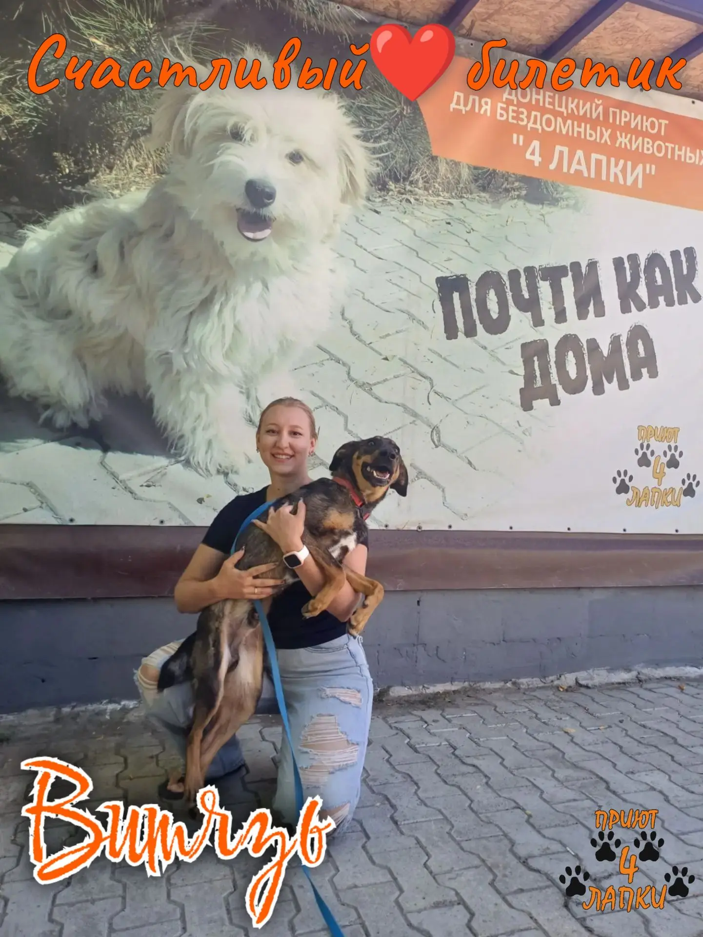 У Витязя сегодня тот самый день, который мы очень любим — день, когда приютская собака ...
