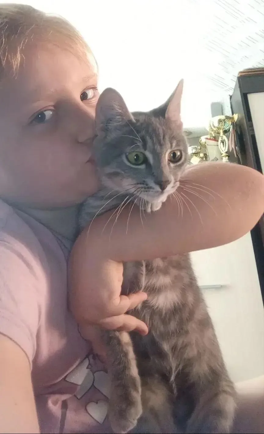 😺🐶Акция: «Моё сердце — их защита»
