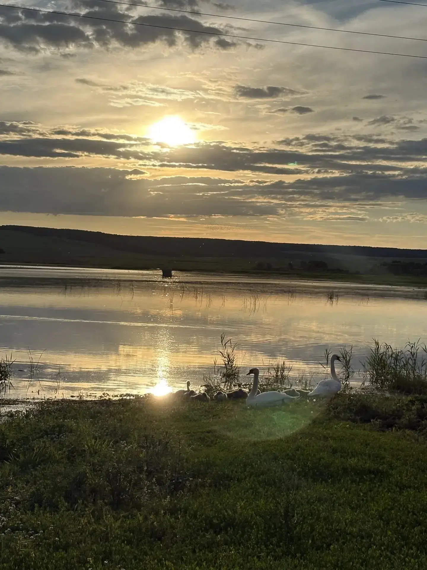 #Аксаковские_места
🌅Закат на Аксаковском пруду: лебединая идиллия

🦢🦢Тишина. Шёпот воды. Вечер оп