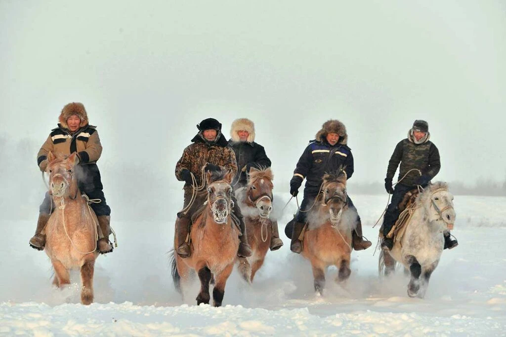 🐴 Воспевая якутскую лошадь: фотоистории Владимира Григорьева