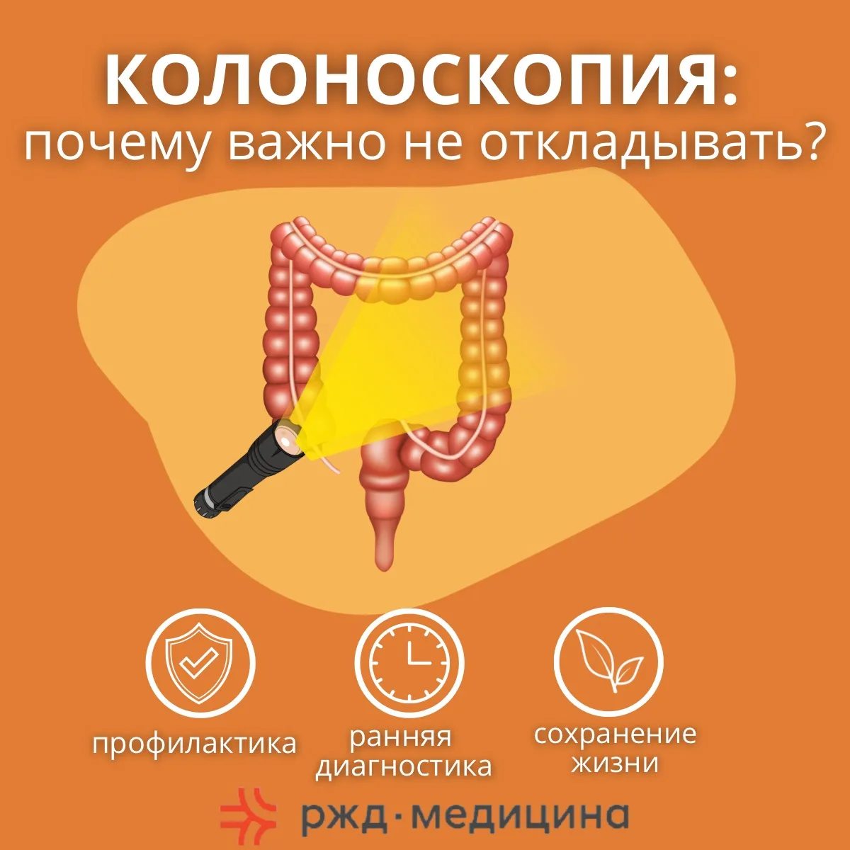 Колоноскопия: почему не стоит откладывать то, что может спасти жизнь.