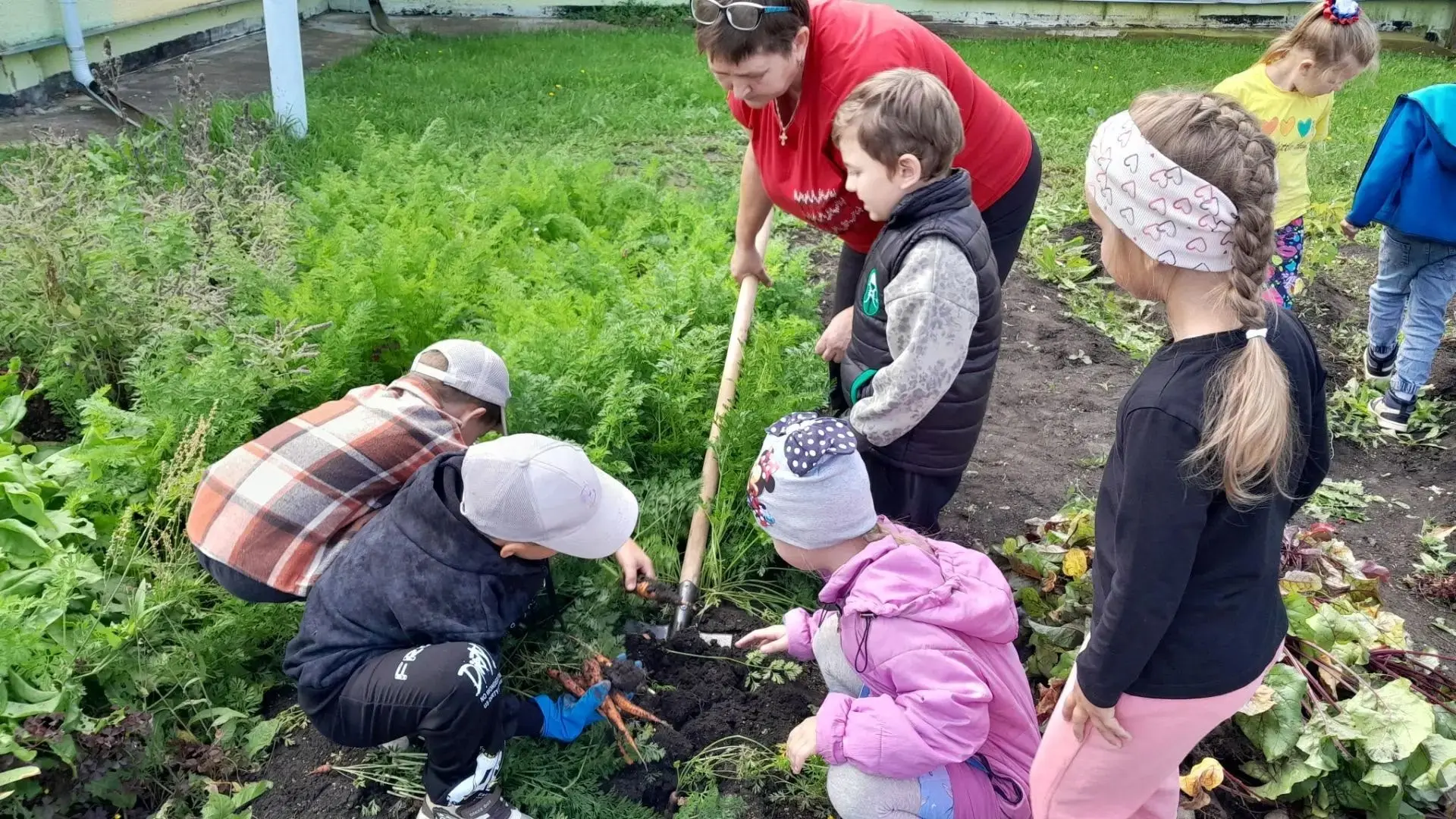 Наступила осень и пришла пора собирать урожай и на огороде нашего детского сада.