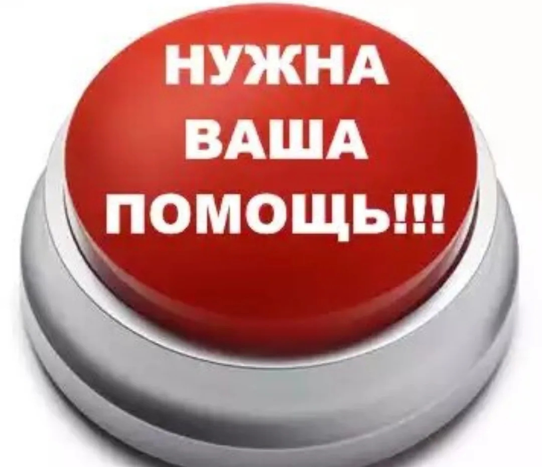 *Народ*!