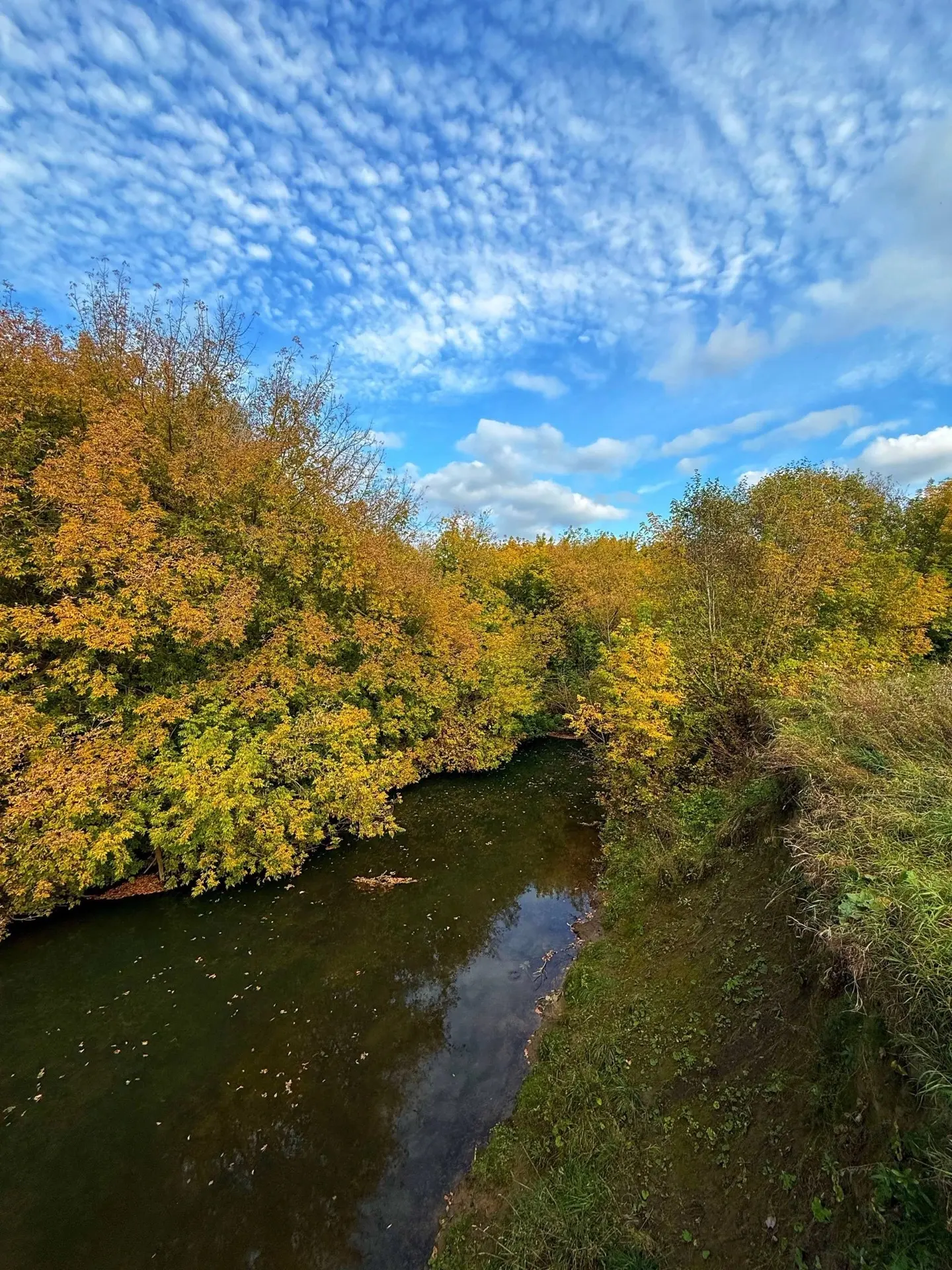 Хәерле иртә, хөрмәтле райондашлар!🍁🍁🍁