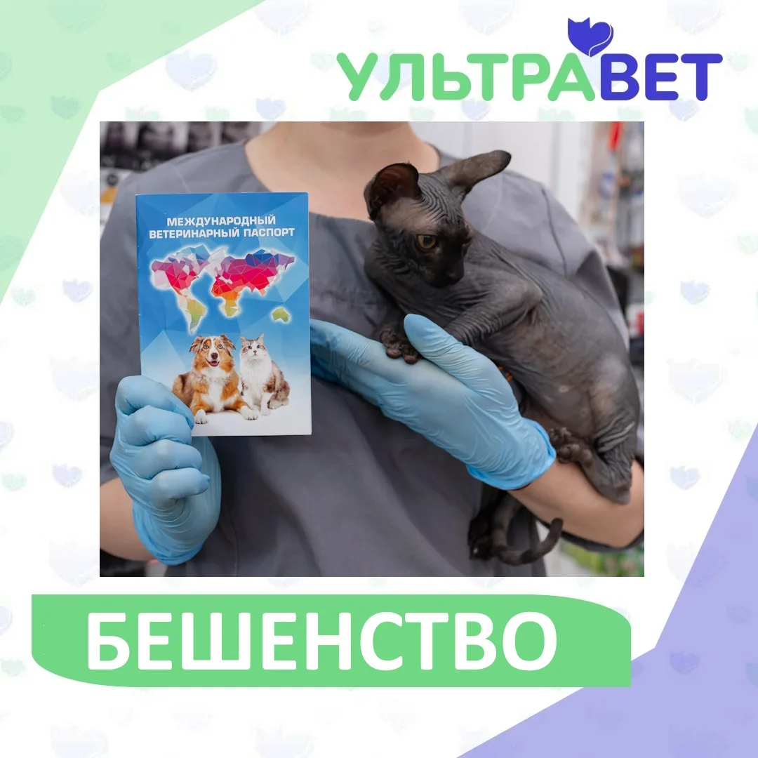 📍 Важно для каждого владельца животного в Омске и области