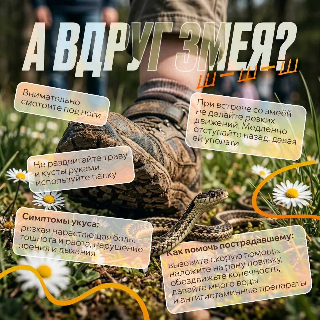 Какое же лето без прогулок, пикников и походов? 
⁣
Однако, проводя время на природе, важно помнить о