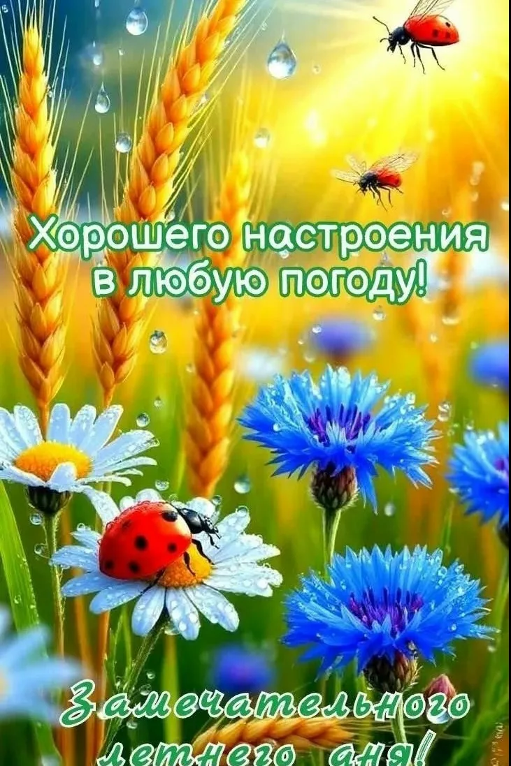 Хорошего летнего дня!