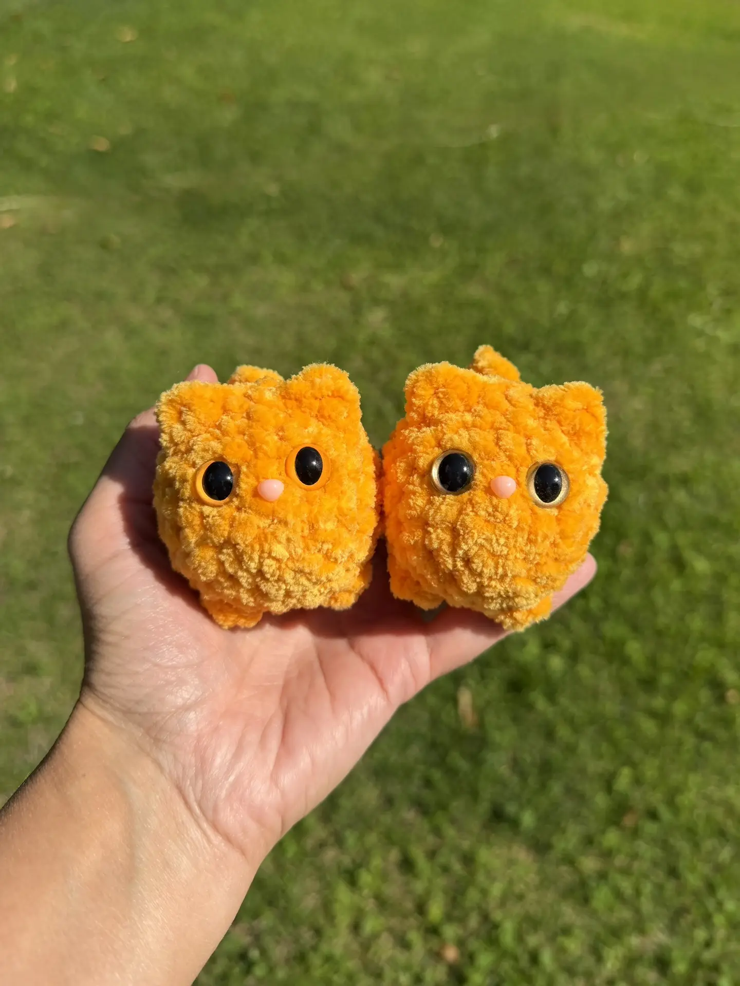 Котики мандаринки 🧡