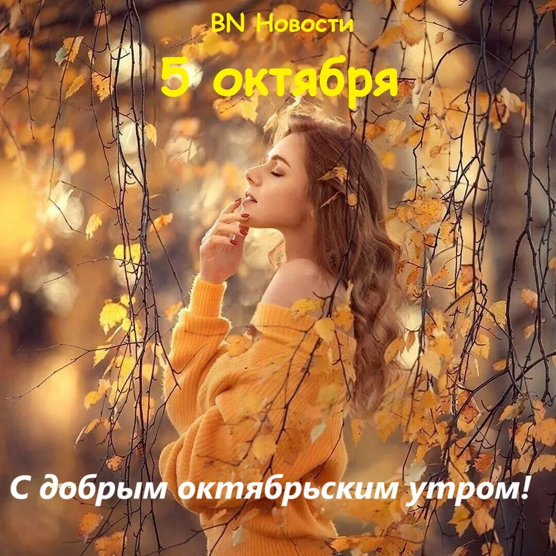 Подписаться на BN Новости –