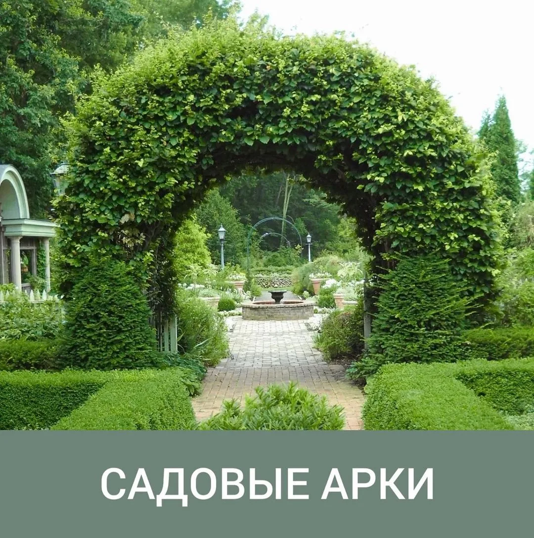 Самых ярких элементов декора сада являются садовые арки.