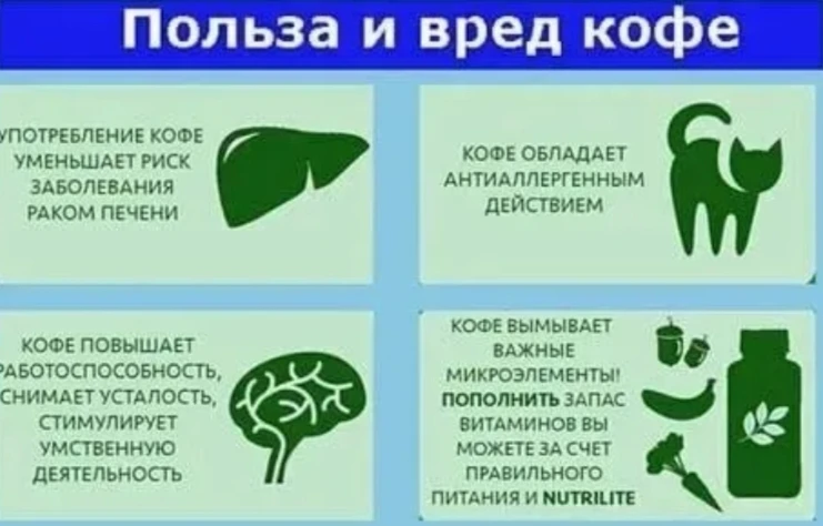 Кофе - вреден или полезен? ☕