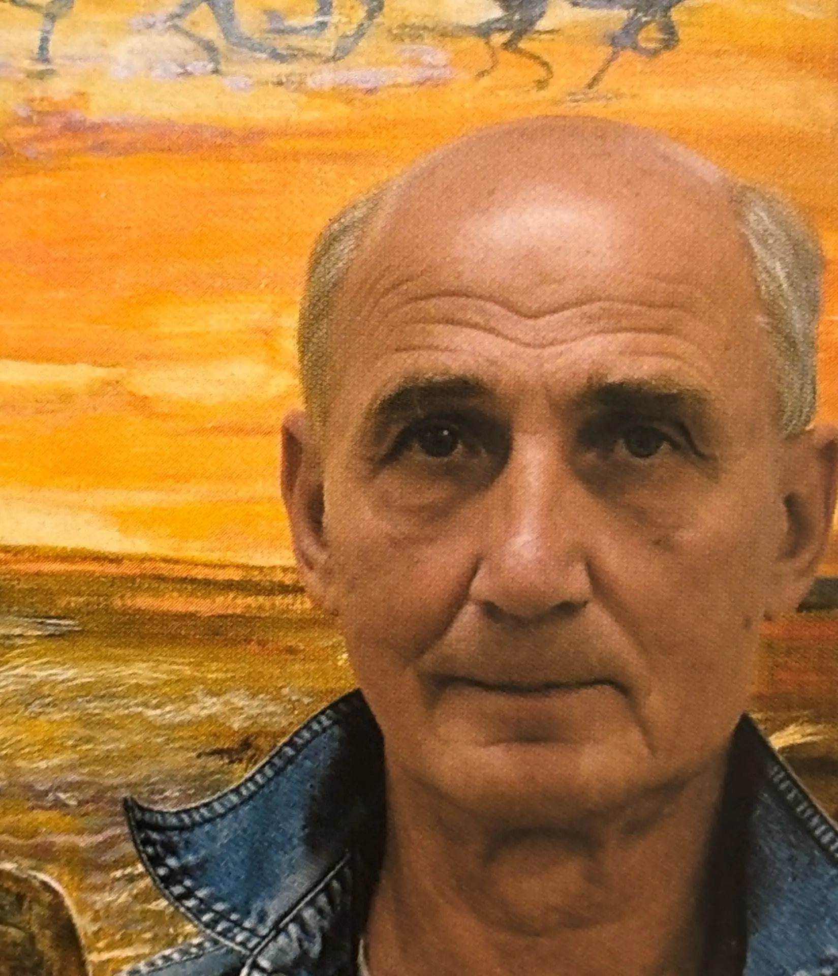 Памяти Владимира Николаевича Шолоха